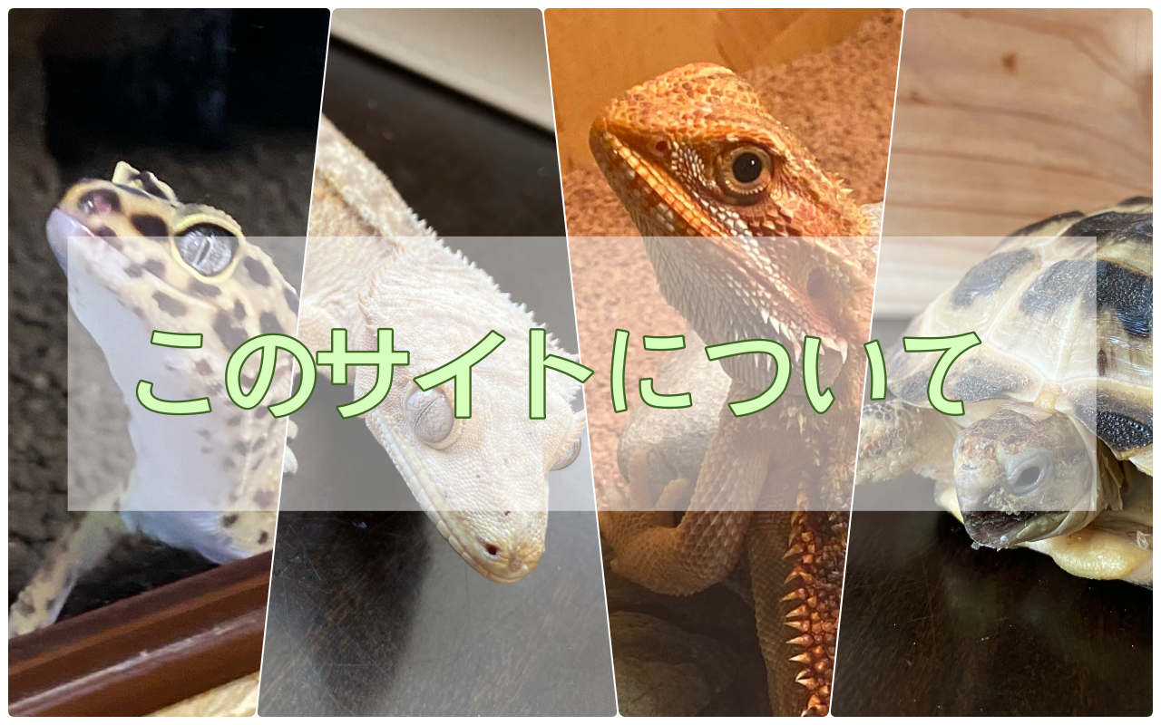 このサイトについて